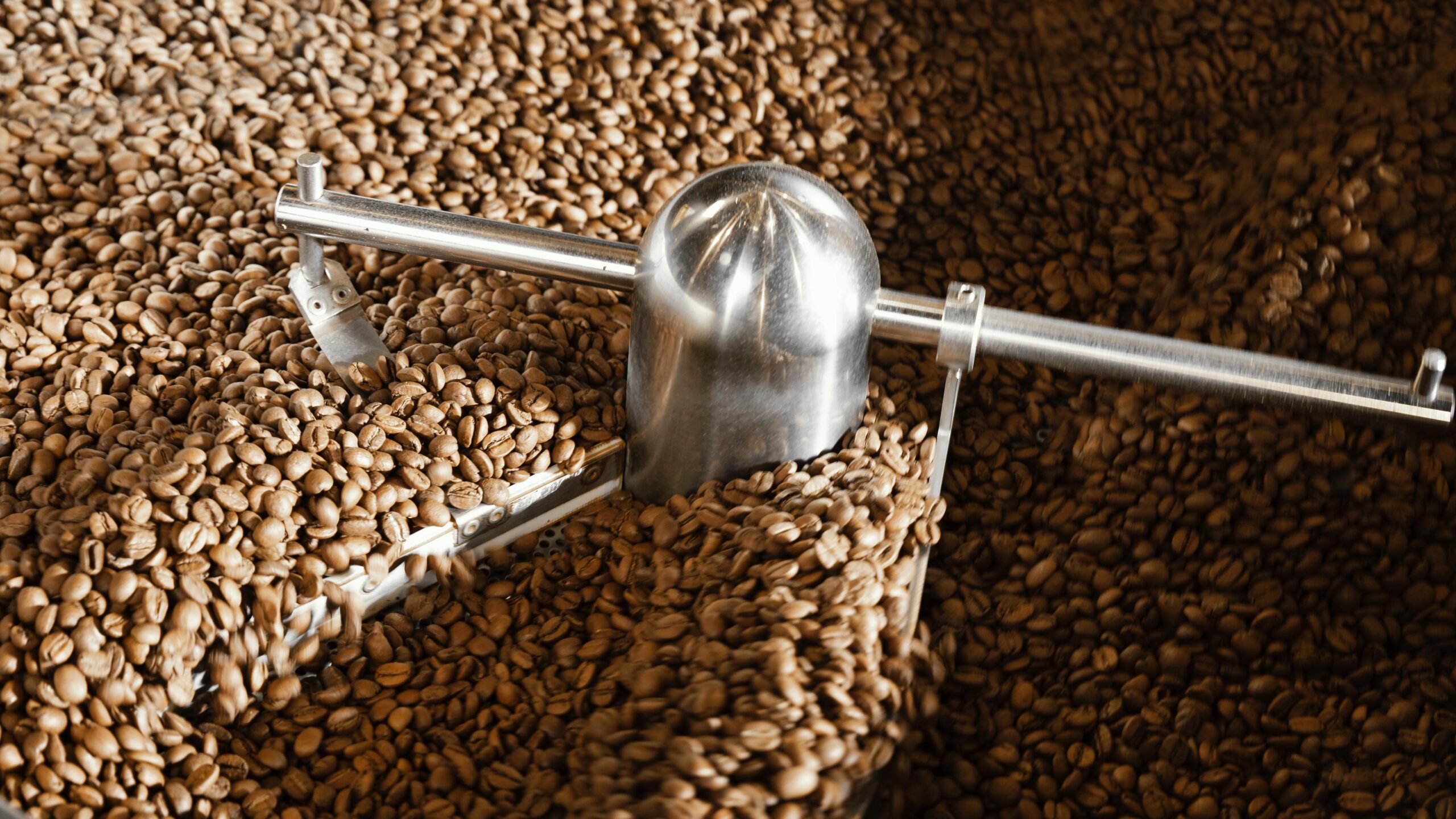 Welcome to Global Feeds Solution