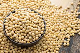 Soya Beans Meal